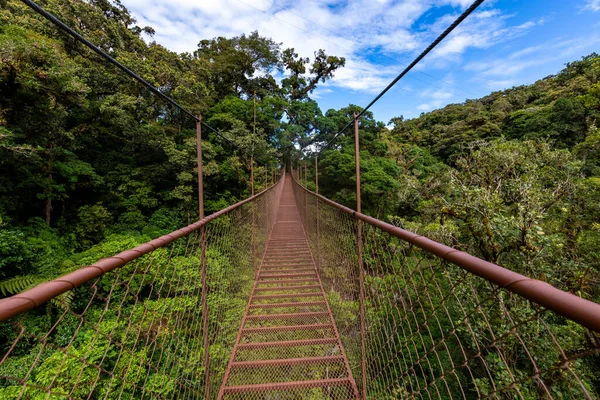 Panama Rainforest Old Hanging Bridge Jungle Panama Central America — стоковое фото