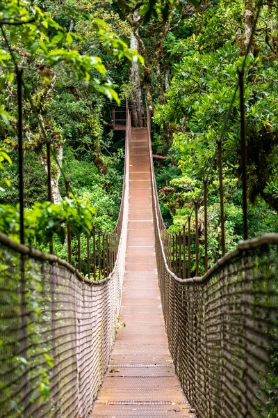 Panama Regenwald Alte Hängebrücke Dschungel Von Panama Mittelamerika — Stockfoto