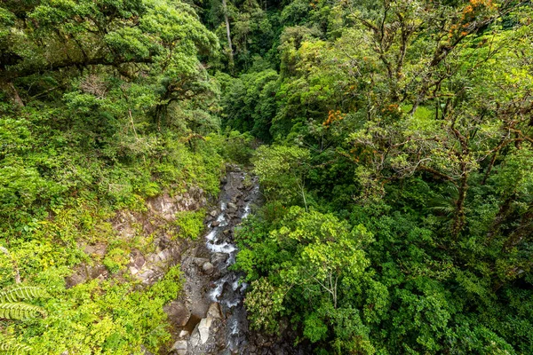 Natureza Tirar Fôlego Através Caminho Selva Para Cachoeiras Perdidas Boquete — Fotografia de Stock