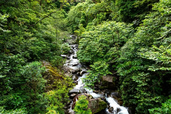 Breathtaking Nature Jungle Path Lost Waterfalls Boquete Panama — стоковое фото