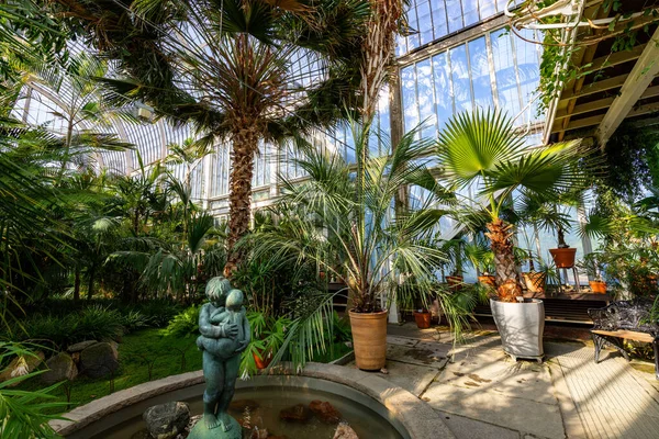 Skleník Veřejná Palm House Zahradní Společnost Göteborgu — Stock fotografie