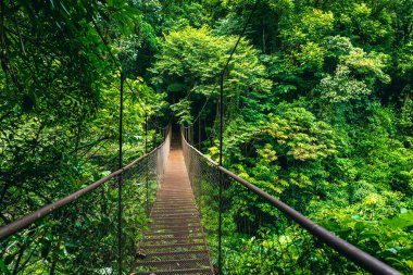 Hanging Bridge Cloud Rainforest Forest in Costa Rica. clipart