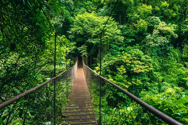 Hanging Bridge Cloud Rainforest Forest Costa Rica — Fotografia de Stock