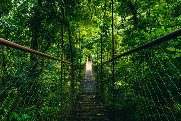 Hanging Bridge Cloud Rainforest Forest Costa Rica — Stock Photo, Image