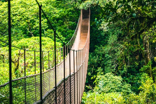 Ponte Pendurada Floresta Floresta Tropical Costa Rica — Fotografia de Stock