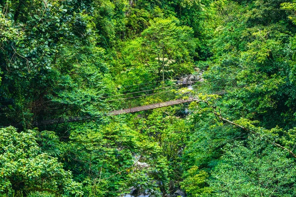 Ponte Pendurada Floresta Floresta Tropical Costa Rica — Fotografia de Stock