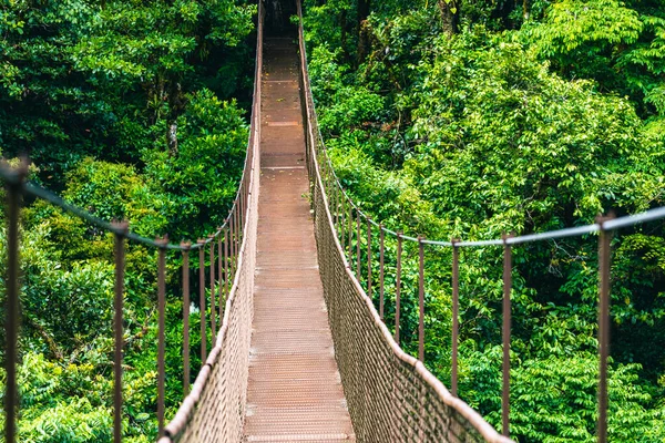 Hanging Bridge Cloud Rainforest Forest Costa Rica — стоковое фото