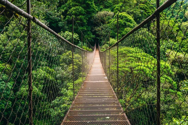 Hanging Bridge Cloud Rainforest Forest Costa Rica — Stock Photo, Image