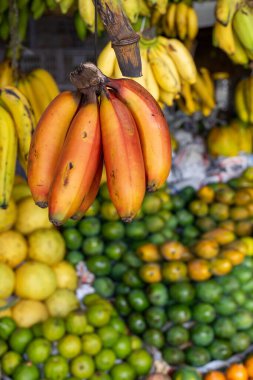 Kandy Belediyesi Merkez Pazarı 'nda meyve ve sebze, et, balık, kuru yiyecek ve baharat bulabilirsiniz. Sri Lanka. 