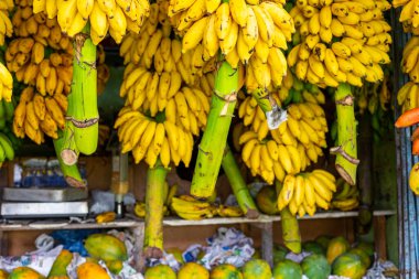 Kandy Belediyesi Merkez Pazarı 'nda meyve ve sebze, et, balık, kuru yiyecek ve baharat bulabilirsiniz. Sri Lanka. 