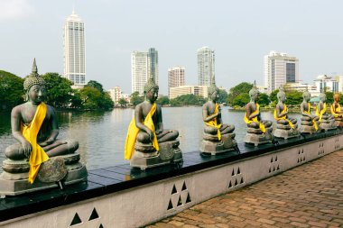 Buda heykelleri Seema Malaka Tapınağı, Colombo, Sri Lanka.