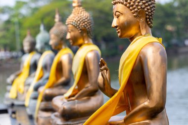 Buda heykelleri Seema Malaka Tapınağı, Colombo, Sri Lanka.