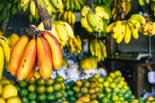 Kandy Municipal Central Market Najdete Ovoce Zeleninu Maso Ryby Suché — Stock fotografie