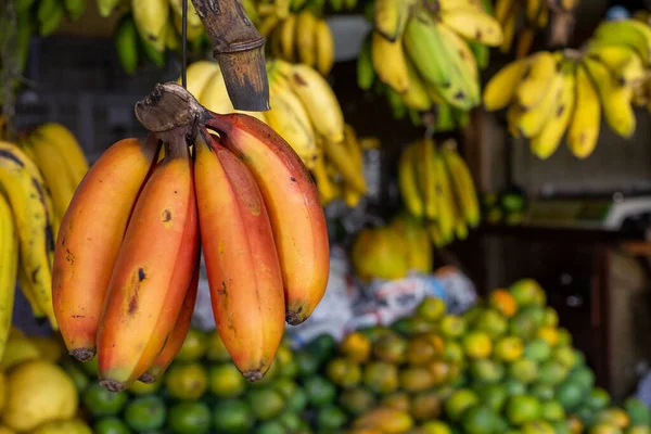 Kandy Municipal Central Market Possibile Trovare Frutta Verdura Carne Pesce — Foto Stock