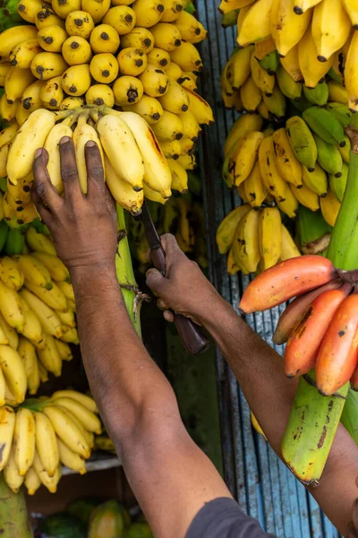 Mercado Central Municipal Kandy Usted Puede Encontrar Frutas Verduras Carne — Foto de Stock