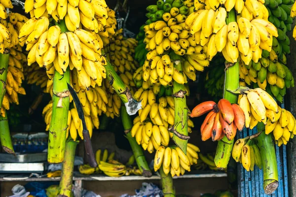 Kandy Municipal Central Market Hittar Frukt Och Grönsaker Kött Fisk — Stockfoto