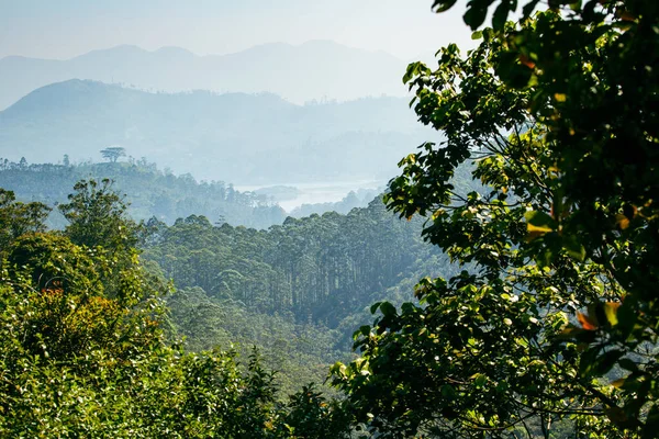Долина Виглядає Селами Горами Світанку Вид Вершини Адама Шрі Ланка — стокове фото