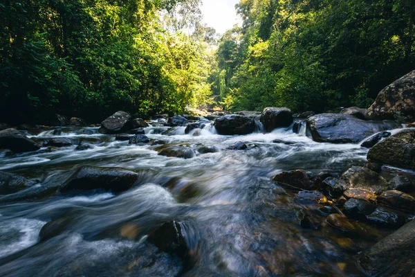 Selva Tropical Sri Lanka Camino Selva Reserva Forestal Sinharaja Sri — Foto de Stock