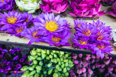 Çiçek sunuyor. İnsanlar tapınağa çiçek getiriyor. Kandy, Sri Lanka.