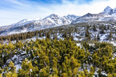 Kış zamanı Tatra Atlıları. Beyaz karlı zirveler, soğuk kış dağları. Polonya 'da Tatra Dağları, Zakopane yakınlarında, Avrupa.