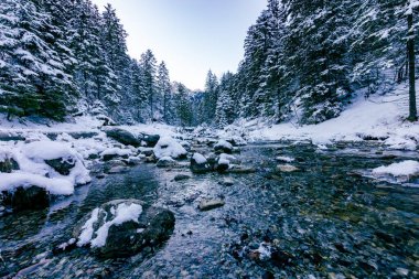 Kış zamanı Tatra Atlıları. Beyaz karlı zirveler, soğuk kış dağları. Polonya 'da Tatra Dağları, Zakopane yakınlarında, Avrupa.