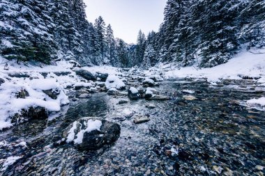 Kış zamanı Tatra Atlıları. Beyaz karlı zirveler, soğuk kış dağları. Polonya 'da Tatra Dağları, Zakopane yakınlarında, Avrupa.