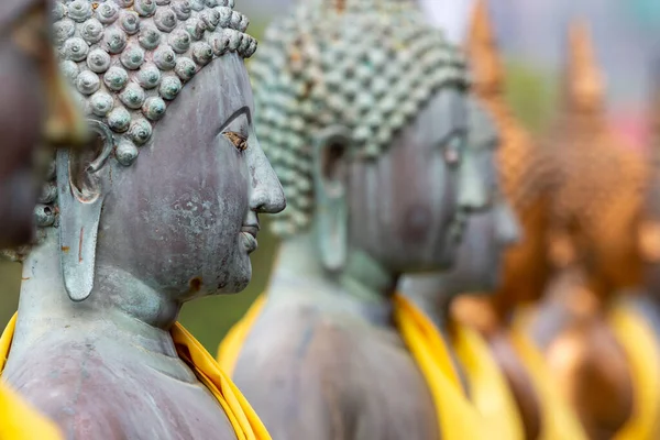 Posągów Buddy Świątyni Malaka Seema Colombo Sri Lanka — Zdjęcie stockowe