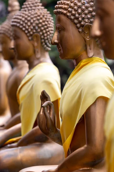 Buda Heykelleri Seema Malaka Tapınağı Colombo Sri Lanka — Stok fotoğraf