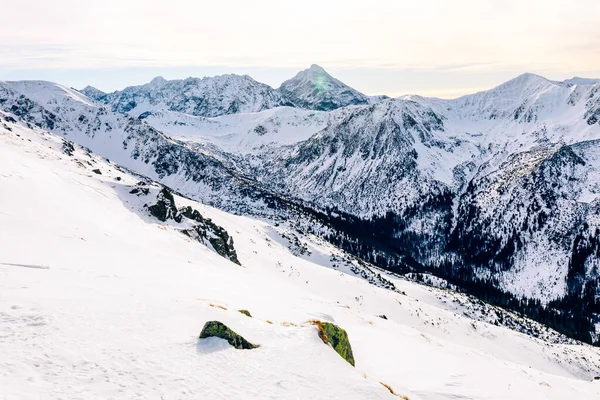 Татранские Горцы Зимой Вид Белые Снежные Вершины Морозные Зимние Горы — стоковое фото