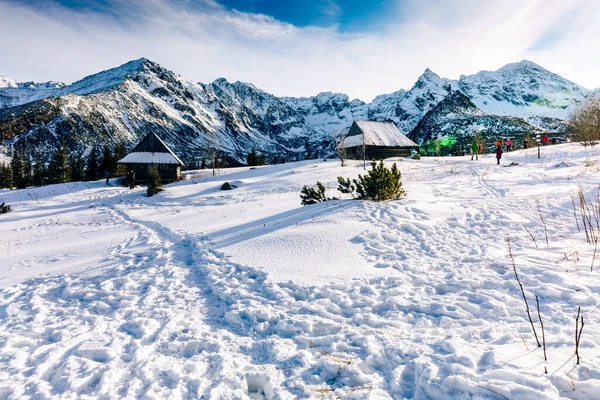 Tatrzańskie Góry Zimą Turysta Udający Się Hali Gasienicowa Tatry Polsce — Zdjęcie stockowe