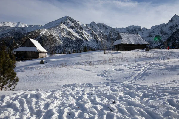 Tatrzańskie Góry Zimą Turysta Udający Się Hali Gasienicowa Tatry Polsce — Zdjęcie stockowe