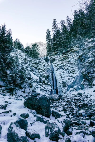 Waterval Siklawica Winter Tatra Gebergte Polen Buurt Van Zakopane Europa — Stockfoto