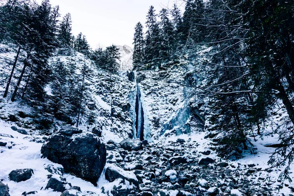 Cachoeira Siklawica Inverno Time Tatra Montanhas Polônia Perto Zakopane Europa — Fotografia de Stock