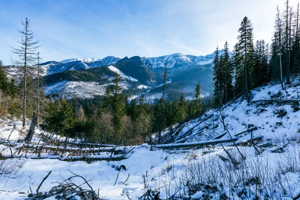 Tatranští Horští Zimě Pohled Bílé Zasněžené Vrcholky Mrazivé Zimní Hory — Stock fotografie