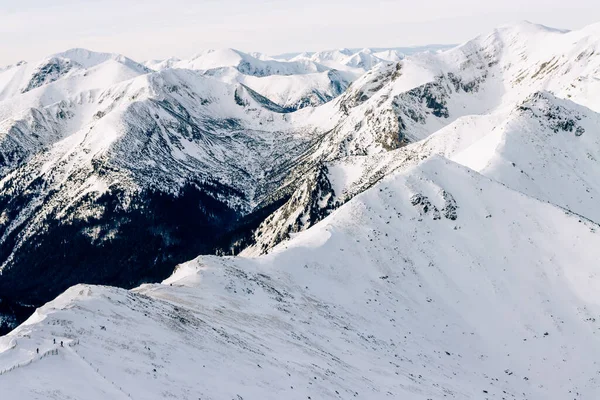 Tatra Mountians Χειμώνα Άποψη Των Λευκών Χιονισμένων Κορυφών Παγωμένα Χειμερινά — Φωτογραφία Αρχείου