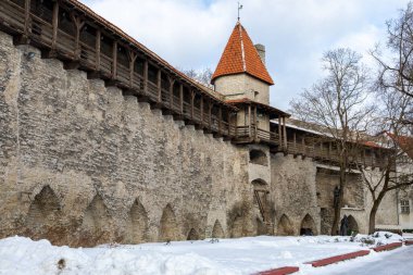 Tallin Eski Kasabası. Orta Çağ Gotik Mimarisi. Tallin Estonya 'nın başkenti. Baltık devletleri. Avrupa.