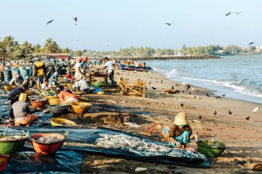 NEGOMBO, SRI LANKA - 28 Şubat 2022: Negombo, Sri Lanka sahillerinde balıklarla çalışan insanlar.