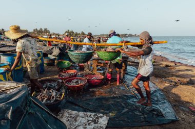 NEGOMBO, SRI LANKA - 28 Şubat 2022: Negombo, Sri Lanka sahillerinde balıklarla çalışan insanlar.