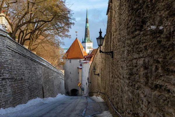 Tallin Old Town Middeleeuwse Gotische Architectuur Tallin Hoofdstad Van Estland — Stockfoto