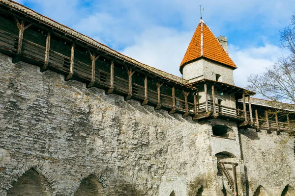 Stare Miasto Tallin Średniowieczna Architektura Gotycka Tallin Stolica Estonii Kraje — Zdjęcie stockowe