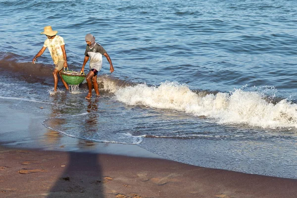 Negombo, Sri Lanka sahillerinde balıklarla çalışan insanlar.