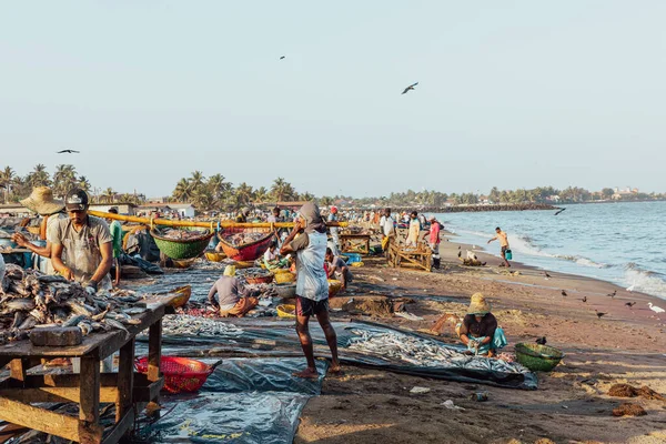 Negombo Sri Lanka 2022年2月28日 スリランカのネゴンボで魚と一緒に働く人々 — ストック写真