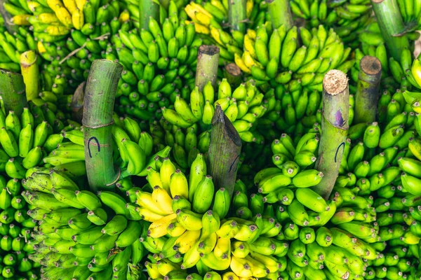 Plátanos Verdes Mercado Dambulla Sri Lanka —  Fotos de Stock