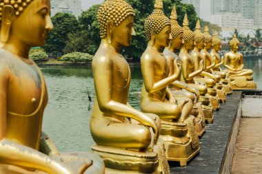 Buda heykelleri Seema Malaka Tapınağı, Colombo, Sri Lanka.