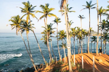 Mirissa Sahili 'ndeki Coconut Tree Hill' de. Sri Lanka.