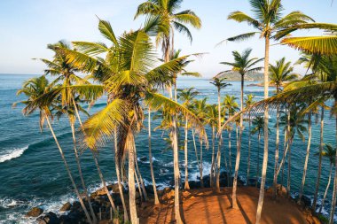 Mirissa Sahili 'ndeki Coconut Tree Hill' de. Sri Lanka.