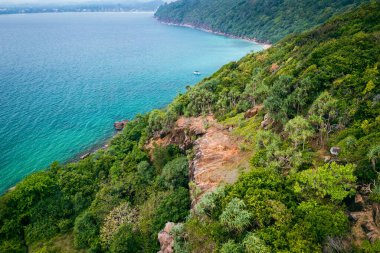 Sri Lanka 'daki Tropik Orman Sahili. Egzotik Costline ve Yağmur Ormanları 'nın hava manzarası. Cennet Sahili.