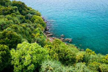 Sri Lanka 'daki Tropik Orman Sahili. Egzotik Costline ve Yağmur Ormanları 'nın hava manzarası. Cennet Sahili.