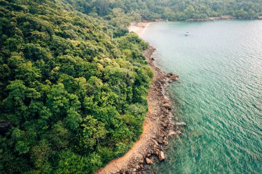 Sri Lanka 'daki Tropik Orman Sahili. Egzotik Costline ve Yağmur Ormanları 'nın hava manzarası. Cennet Sahili.
