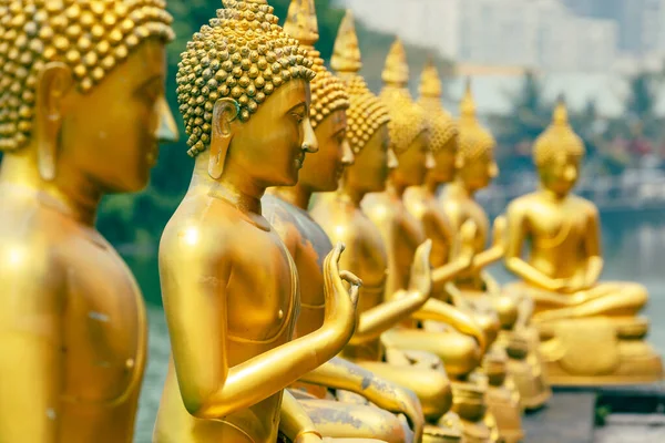 Buda Heykelleri Seema Malaka Tapınağı Colombo Sri Lanka — Stok fotoğraf